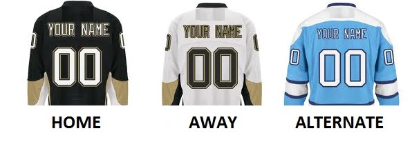 (image for) PITTSBURGH Pro Hockey Number Kit - Click Image to Close